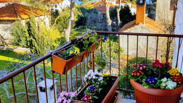Apartman u centru Supetra blizu plaže image 5