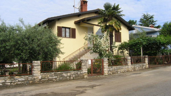 Olive image 1