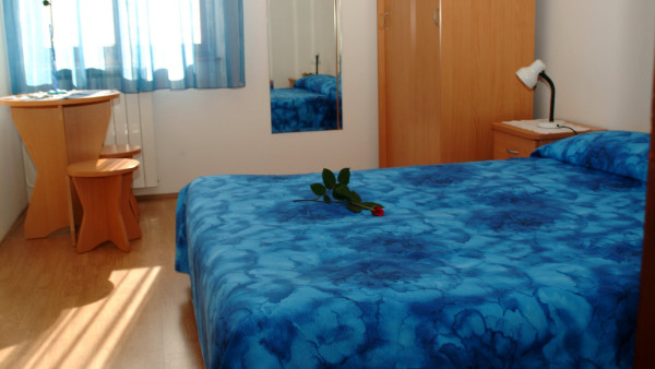 Olive image 6