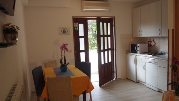 Kiwi image 8