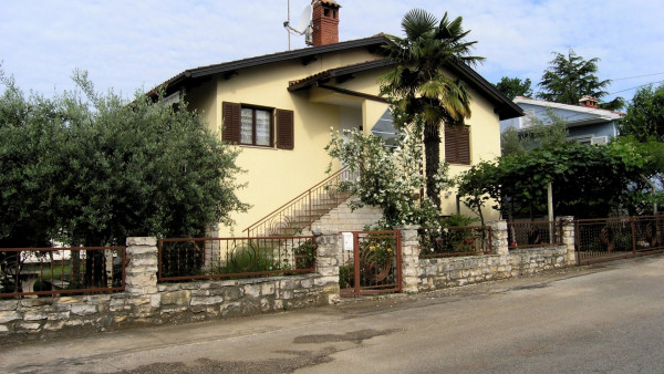 Olive image 18