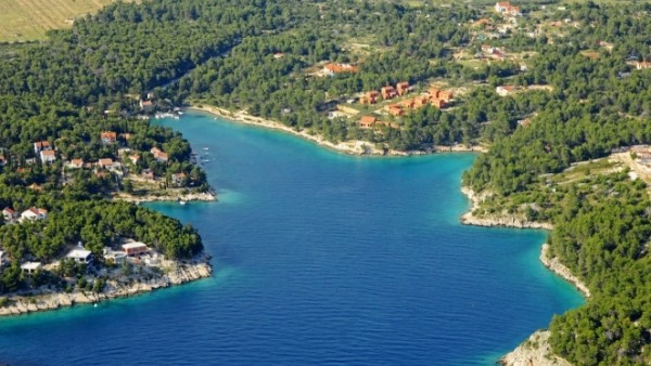 Lile slika 20