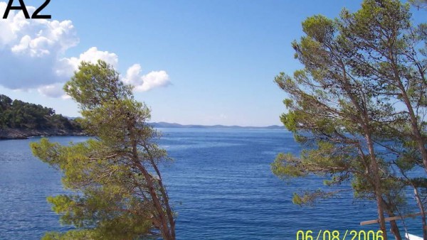 Lile slika 32