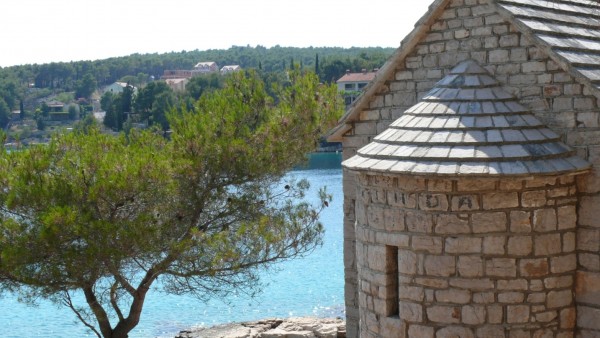 Lile slika 40