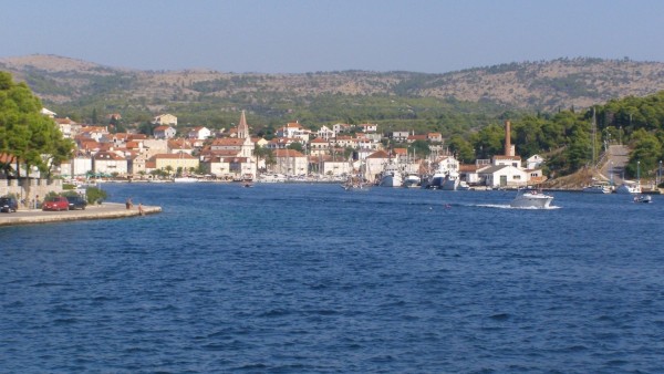 Lile slika 47
