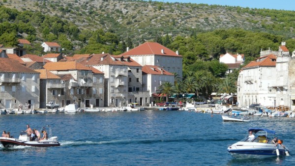 Lile slika 49