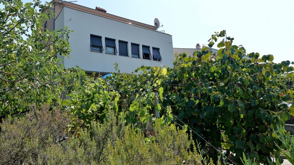  Apartman 1 image 23