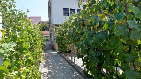  Apartman 1 image 24